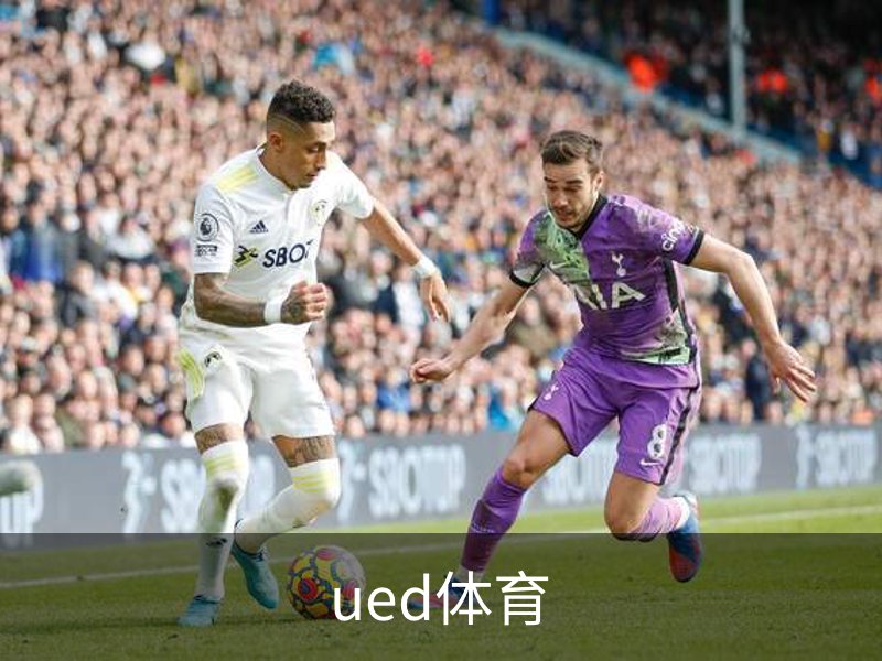 ued体育概况